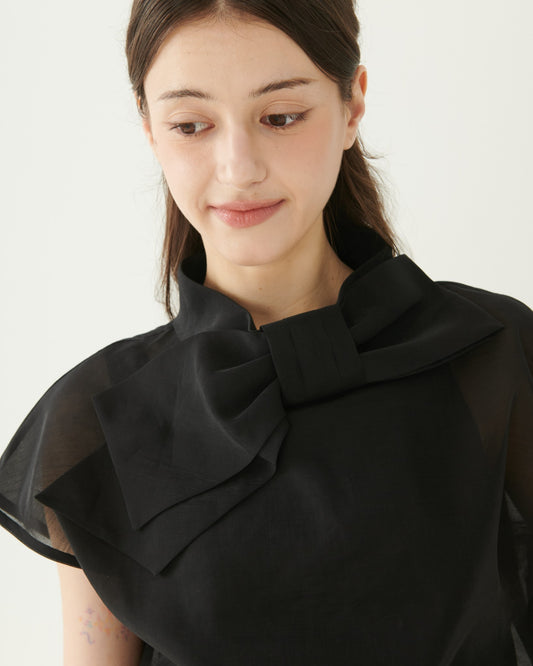 Bow Organza Blouse